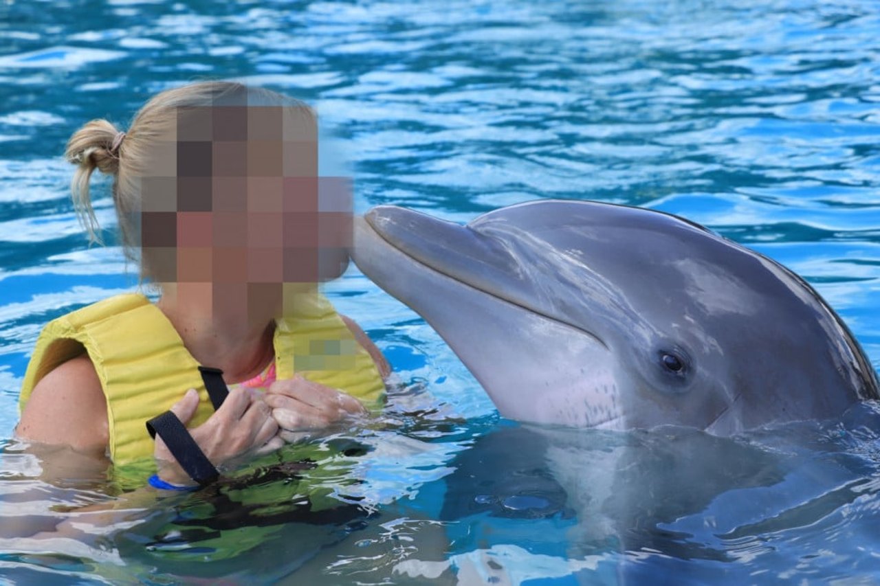 Dolphin with a tourist - World Animal Protection