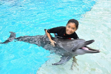 Dolphin used for photos at Resort World Sentosa, Singapore