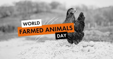 World Farmed Animals Day meta/og image