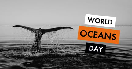 World Oceans Day meta/og image