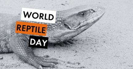 World Reptile Day meta/og image