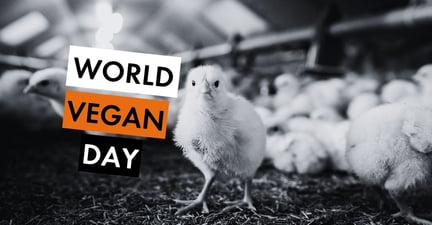 World Vegan Day meta/og image