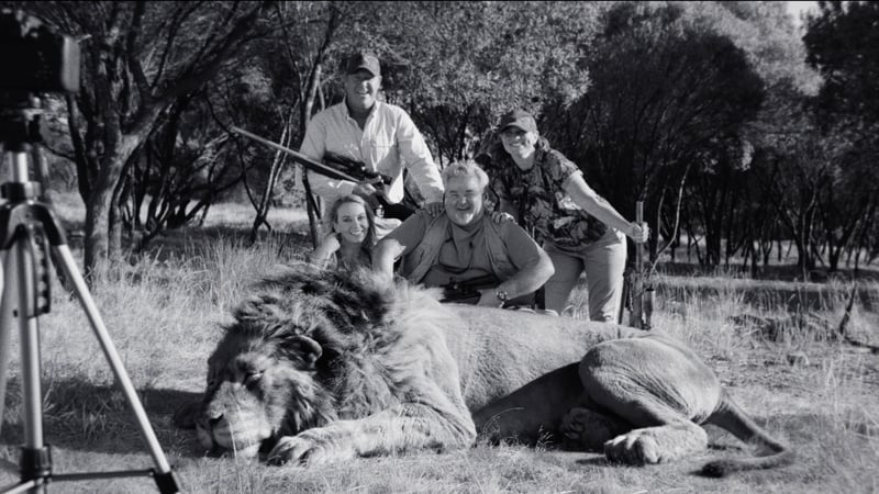 Group having their photo taken with a dead lion. 