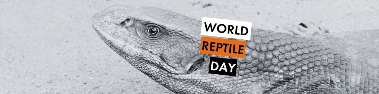 Image by World Animal Protection. Black and white image of a monitor lizard. Text reads: World Reptile Day