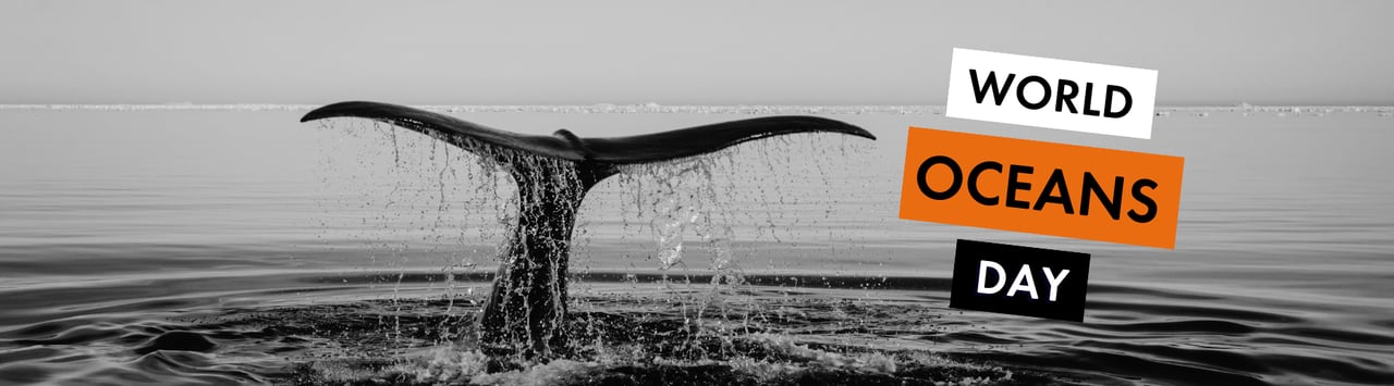 World Oceans Day - Marine life appearing above the waves