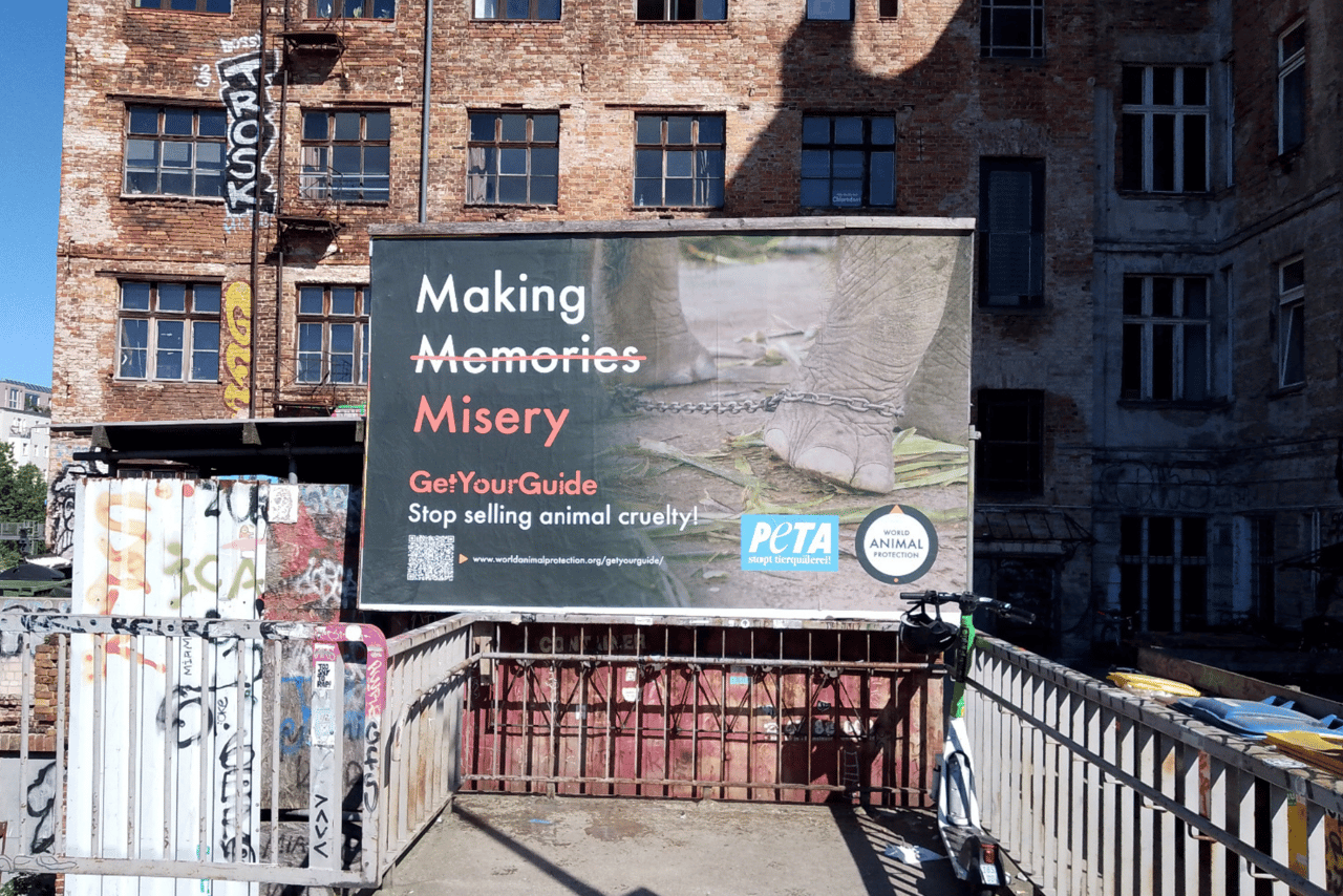 A billboard near GetYourGuide´s headquarters in the German capital has throughout the week displayed the message “Making Memories Misery. GetYourGuide: Stop selling animal cruelty!”