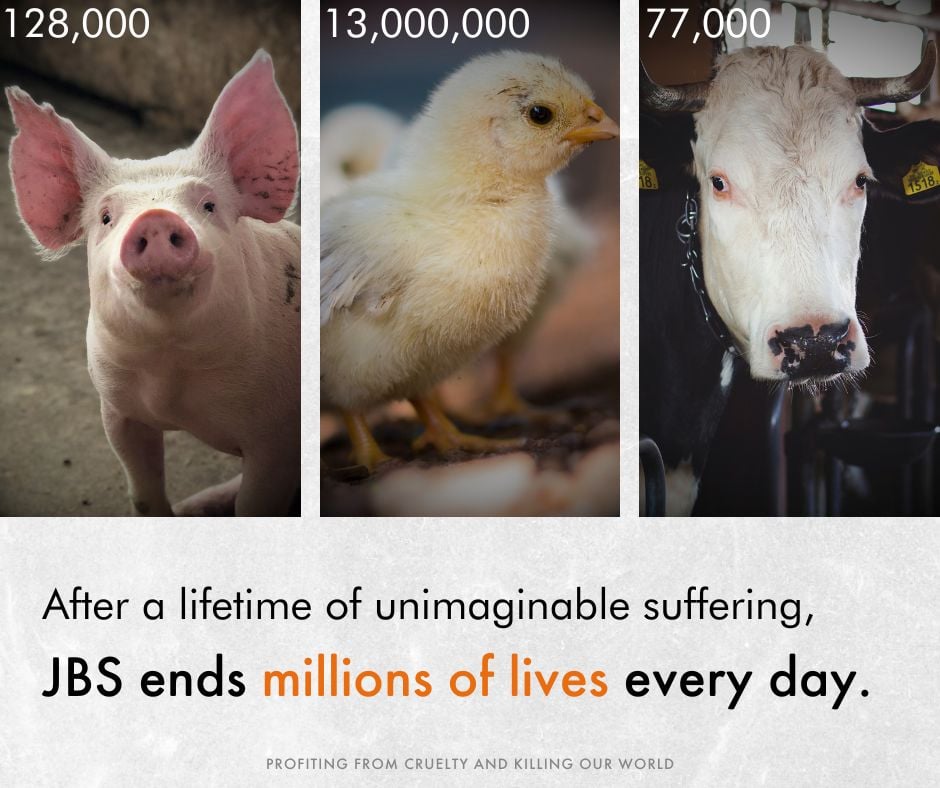 JBS Food is causing billions of animals to suffer on factory farms. Closely confined and condemned to unimaginable suffering, their unhappy lives fuel the ever-increasing global demand for meat that is backed by big business and governments.