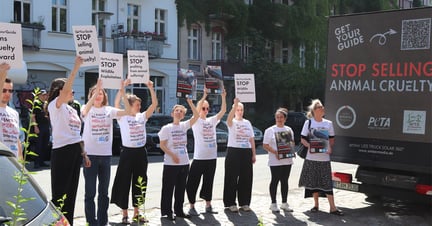 World Animal Protection staff in action, Berlin, Germany