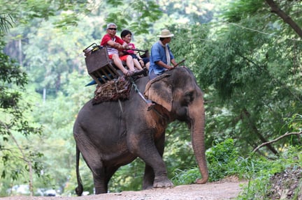 Tourists riding elephant in Thailand