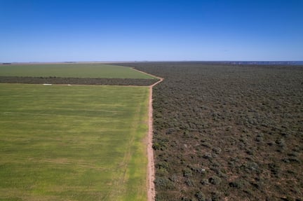 JBS Food Company's Impact - Aerial view of soja crops close to the Serra da Tabatinga Protected Area.