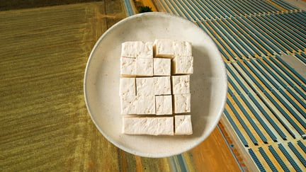 Tofu bowl overlayed soy industry in Mato Grosso state