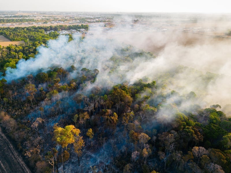 Forest fires in  SINOP Municipality, Brazil