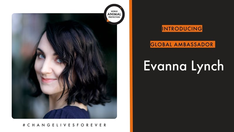 World Animal Protection Global Ambassador Evanna Lynch